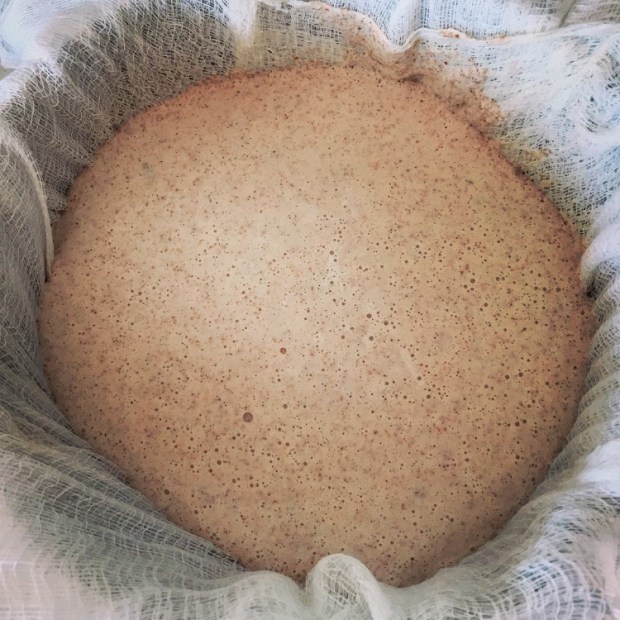 Almond Mylk + Cheese Cloth