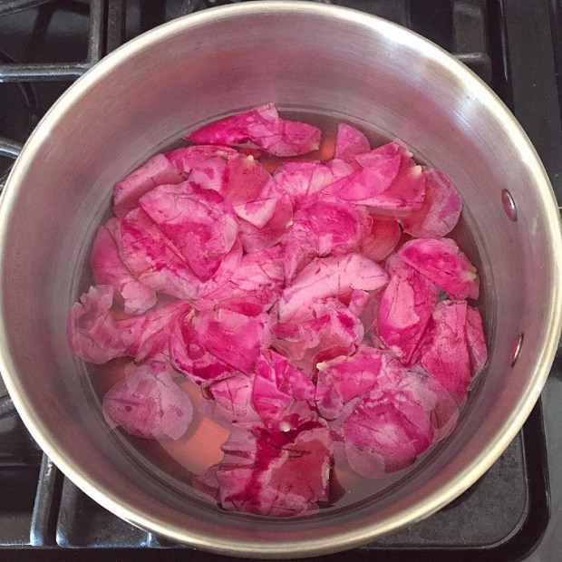 Rose Petals after 20 minutes