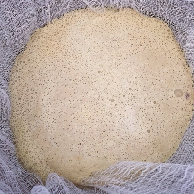 Pistachio Mylk + Cheese Cloth